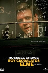 A Beautiful Mind