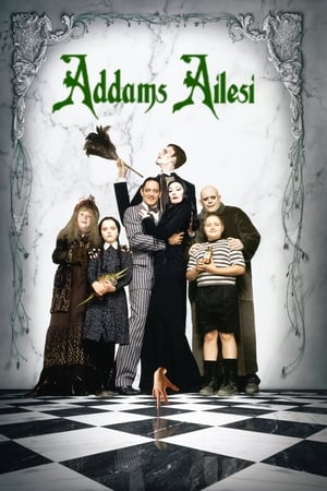 The Addams Family (1991)