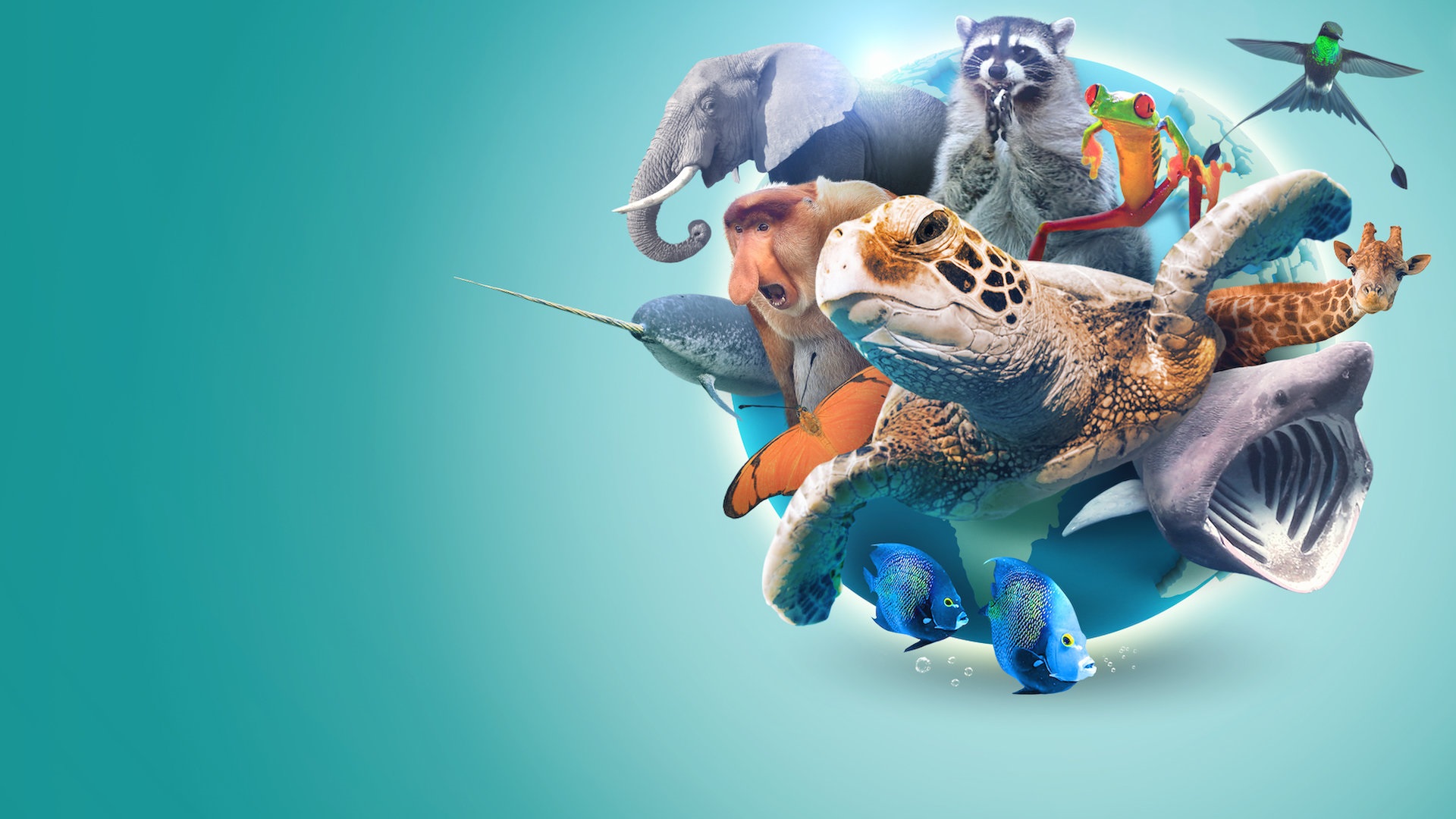 Absurd Planet 1. Sezon 8. Bölüm