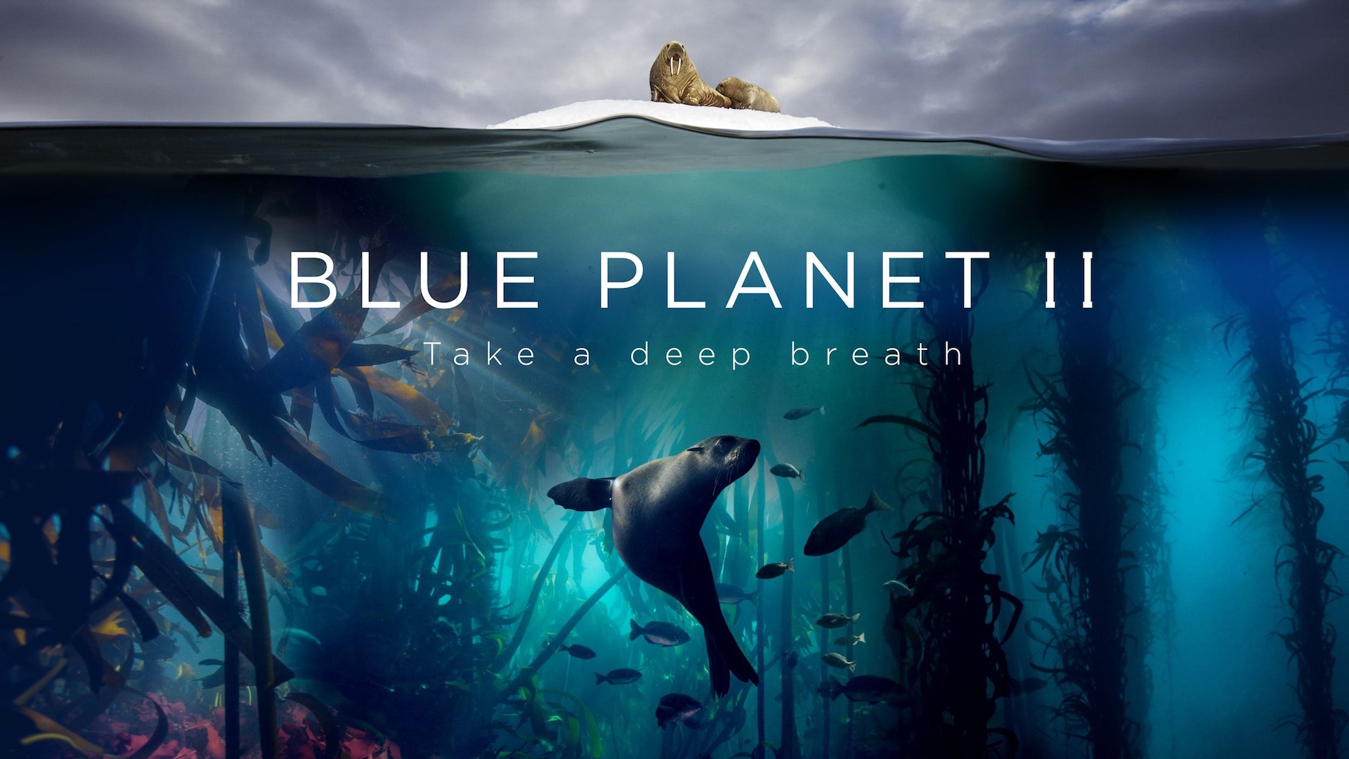 Blue Planet II 1. Sezon 6. Bölüm