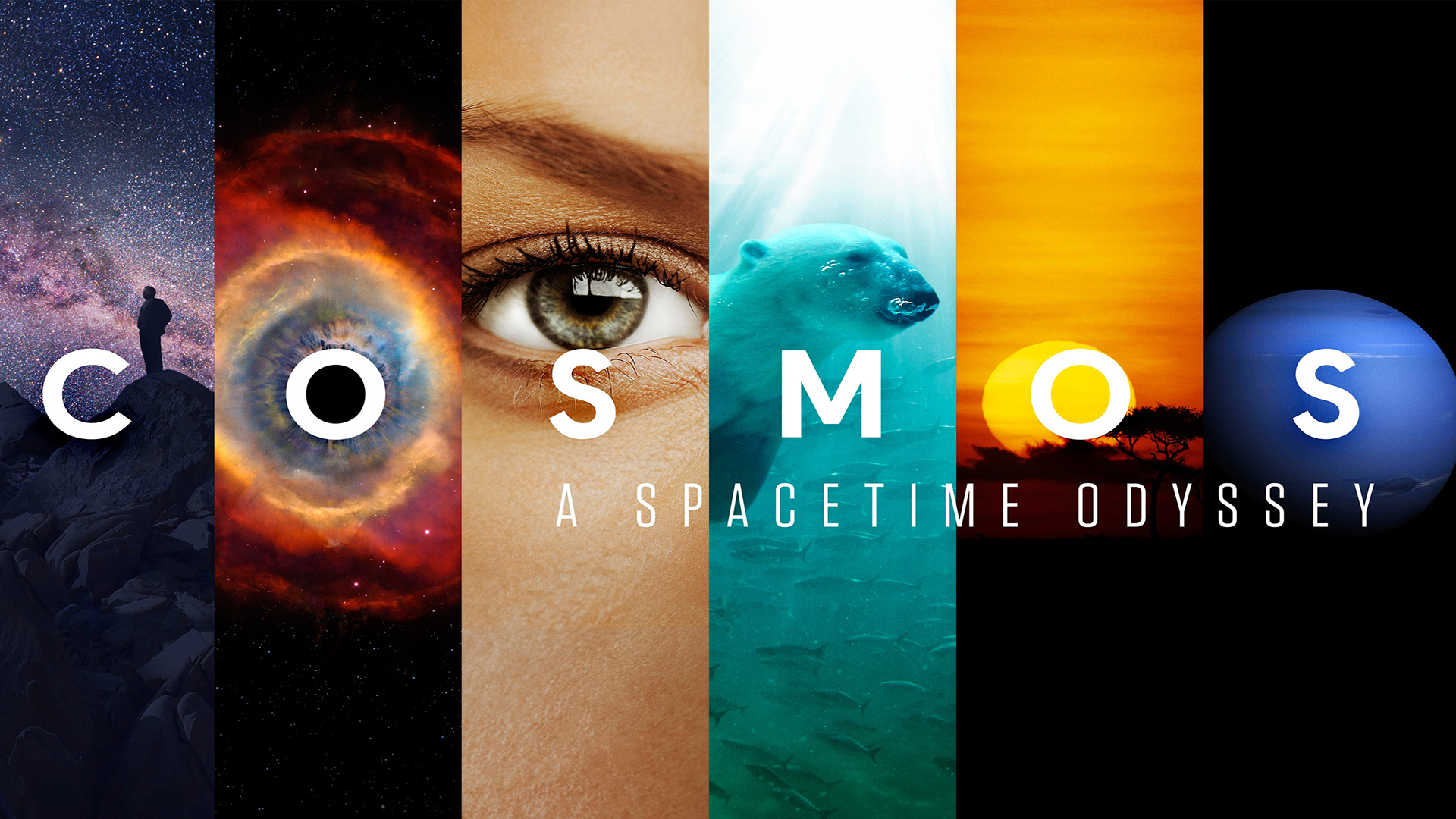 Cosmos: A SpaceTime Odyssey 1. Sezon 12. Bölüm