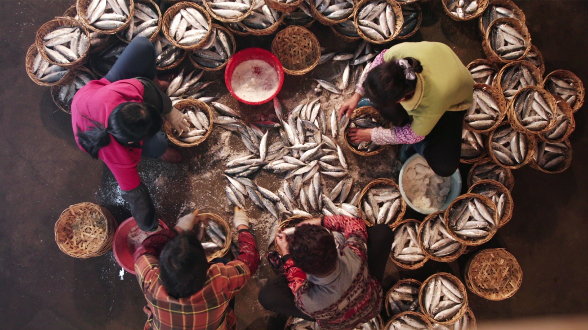 Flavorful Origins 2. Sezon 2. Bölüm