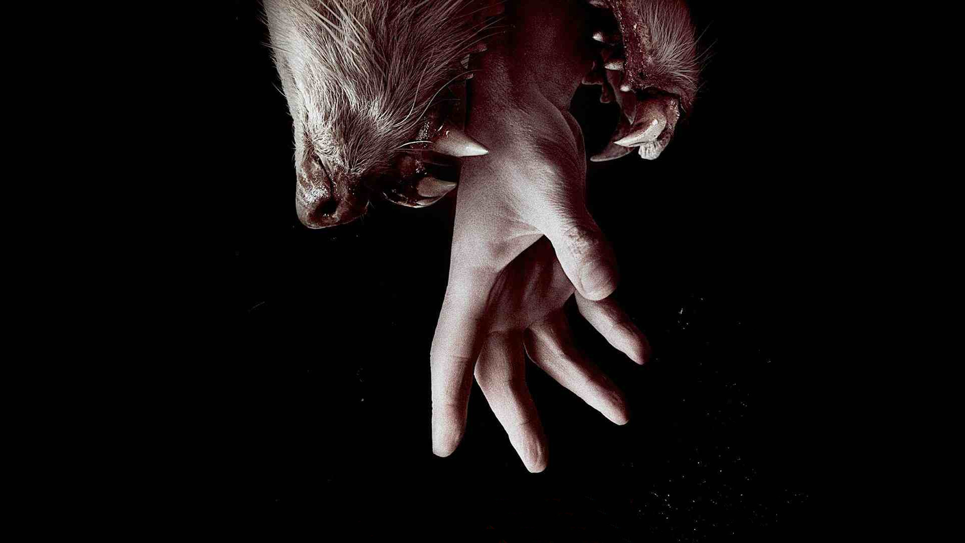 Hemlock Grove 2. Sezon 2. Bölüm