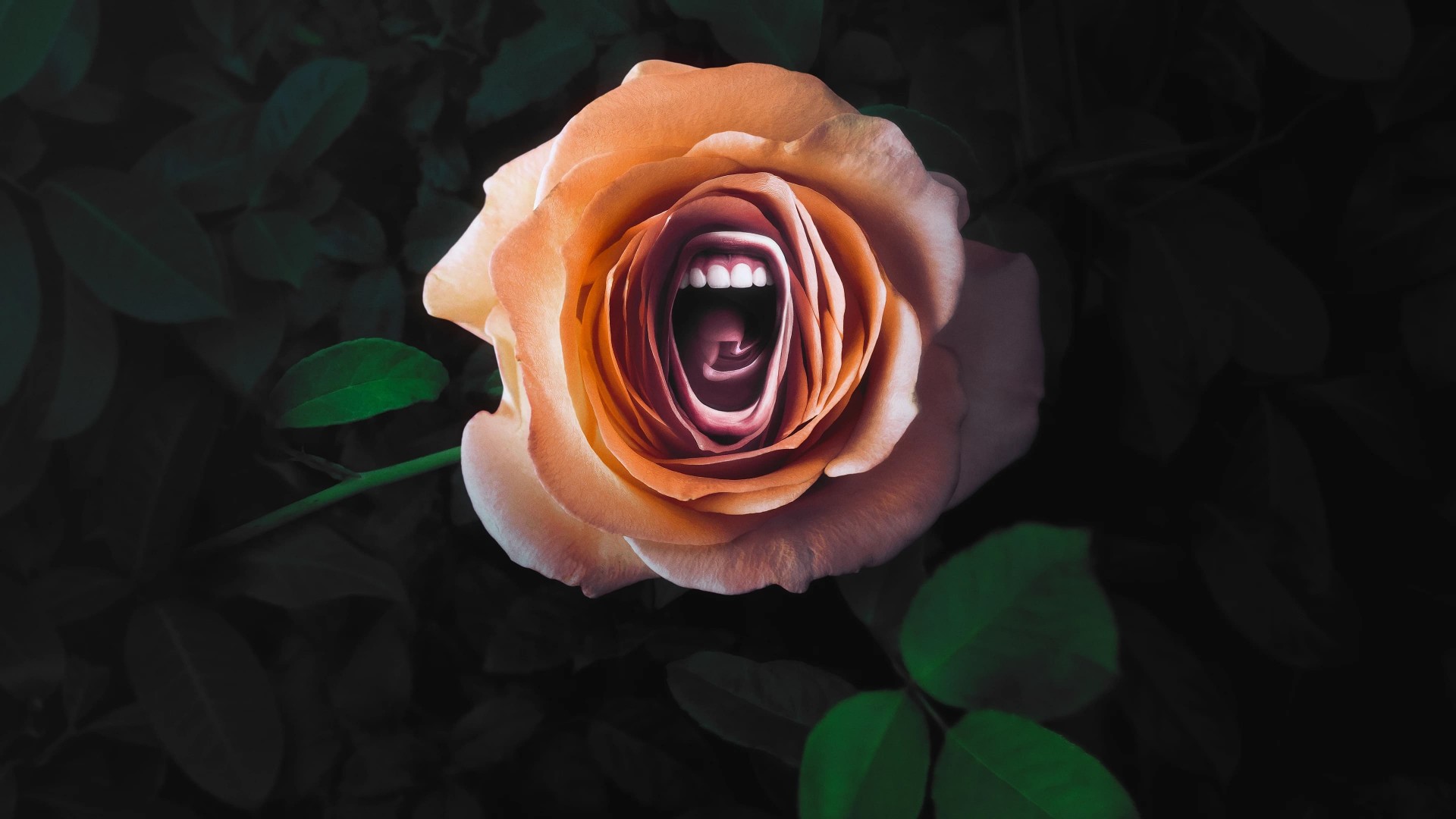 Roar 1. Sezon 1. Bölüm