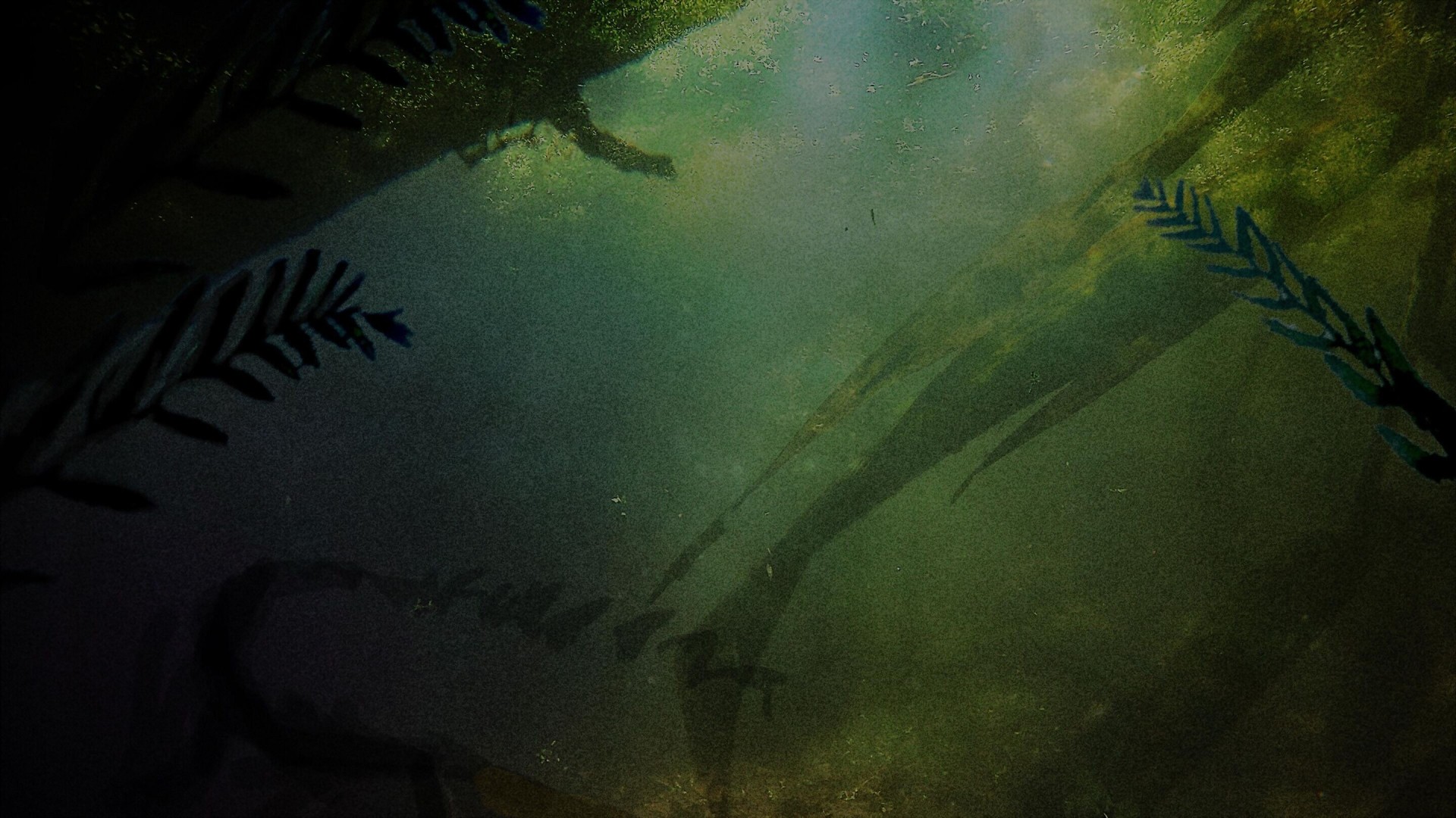 Something Bit Me! 1. Sezon 12. Bölüm