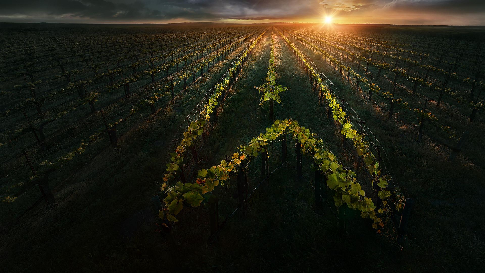 Star Trek: Picard 2. Sezon 6. Bölüm