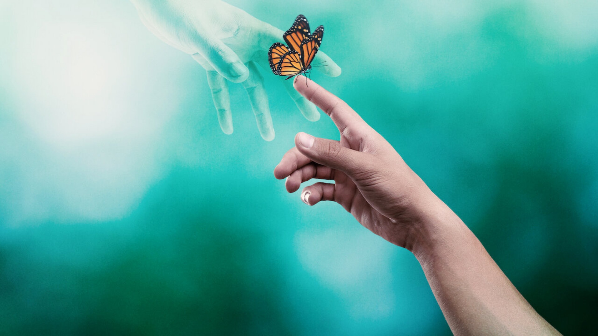 Surviving Death 1. Sezon 2. Bölüm