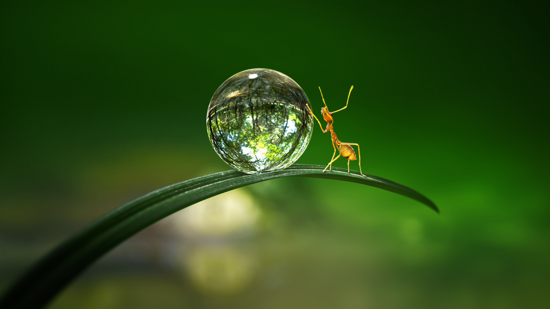 Tiny World 1. Sezon 6. Bölüm