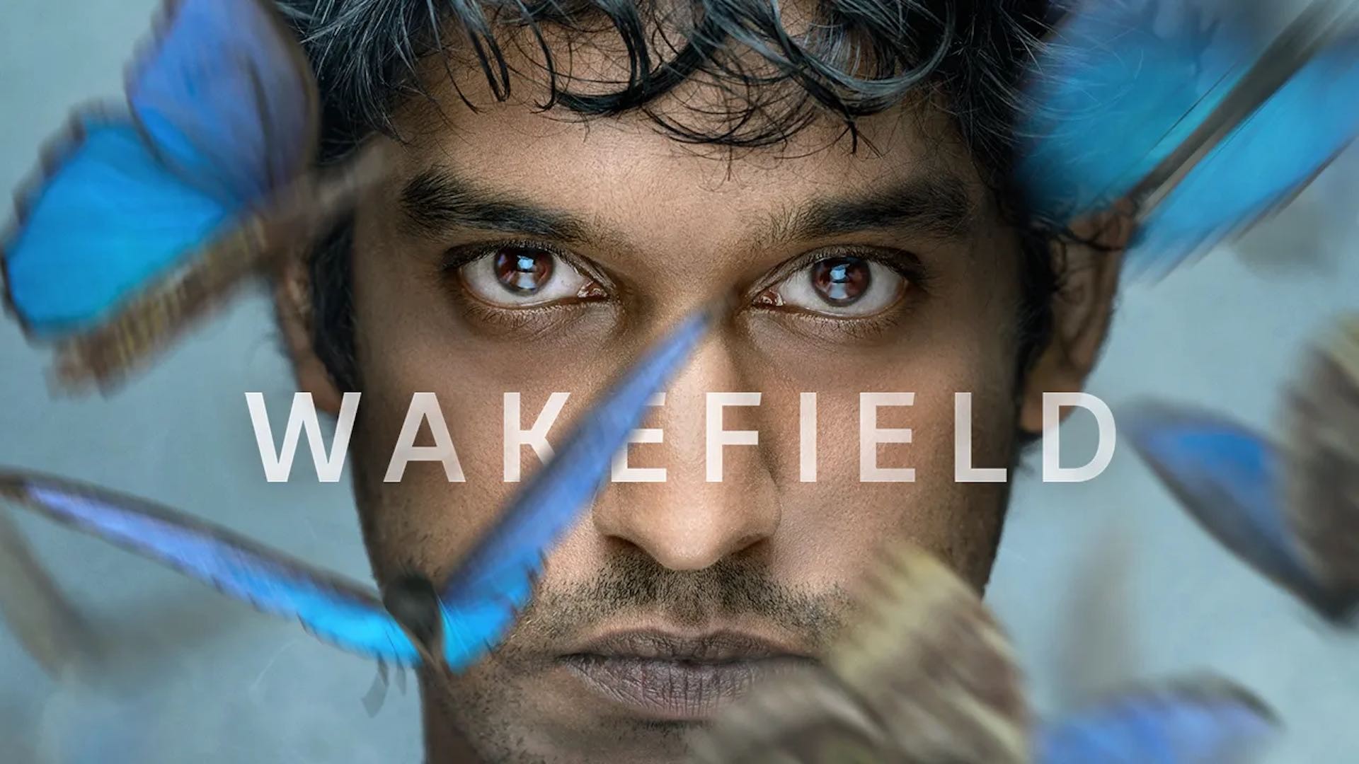 Wakefield 1. Sezon 6. Bölüm