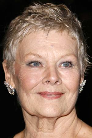 Judi Dench tüm dizileri dizigom'da