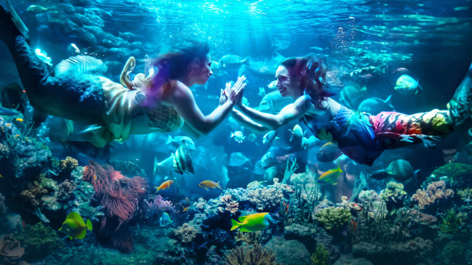 MerPeople 1. Sezon 2. Bölüm