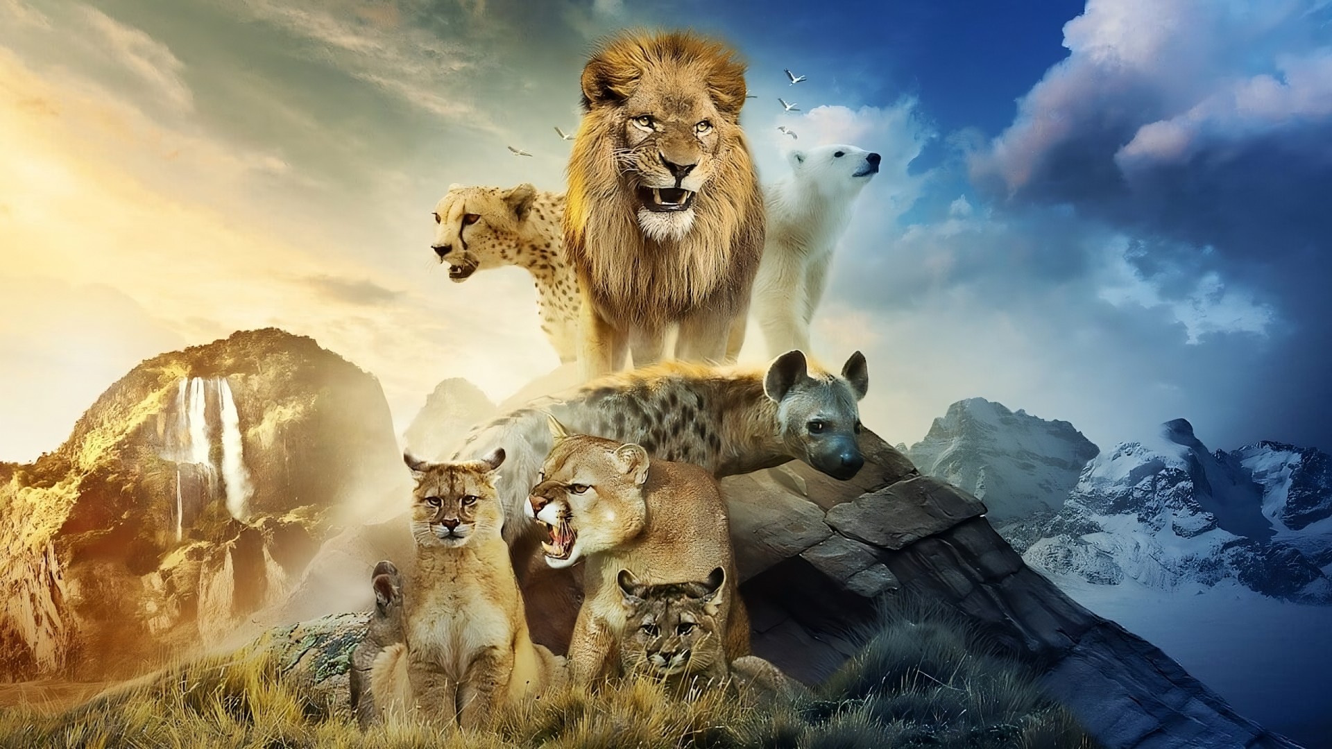 Predators 1. Sezon 2. Bölüm