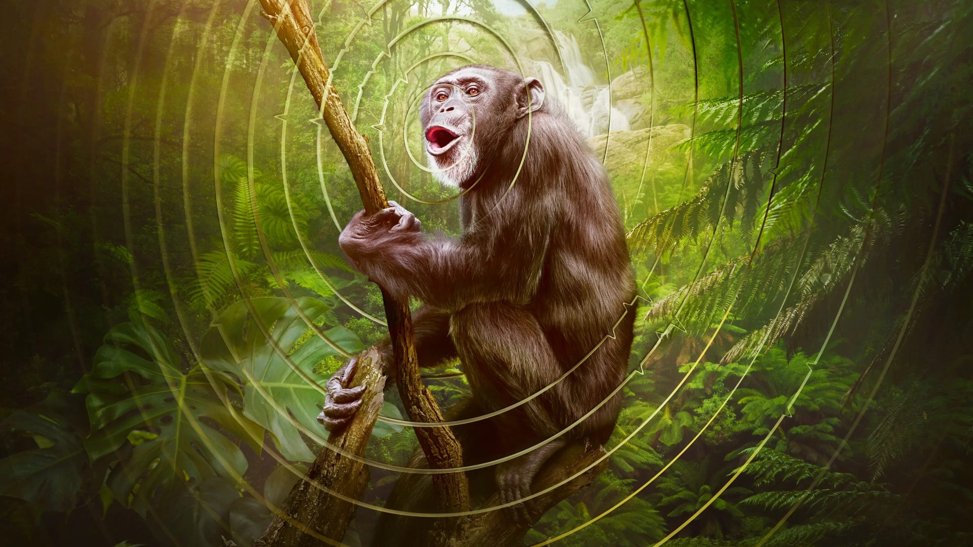 Earthsounds 1. Sezon 5. Bölüm