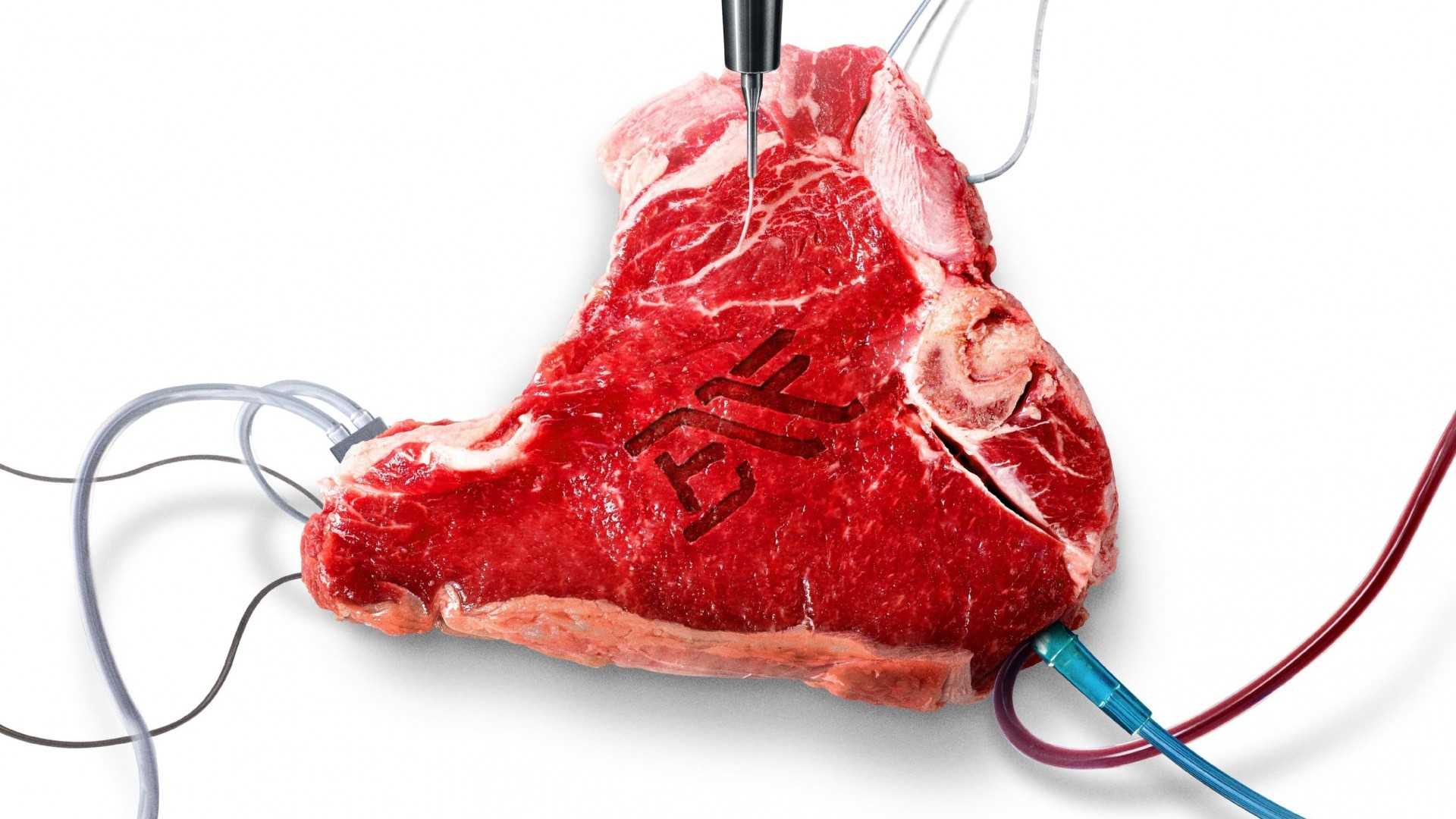 Blood Free 1. Sezon 9. Bölüm