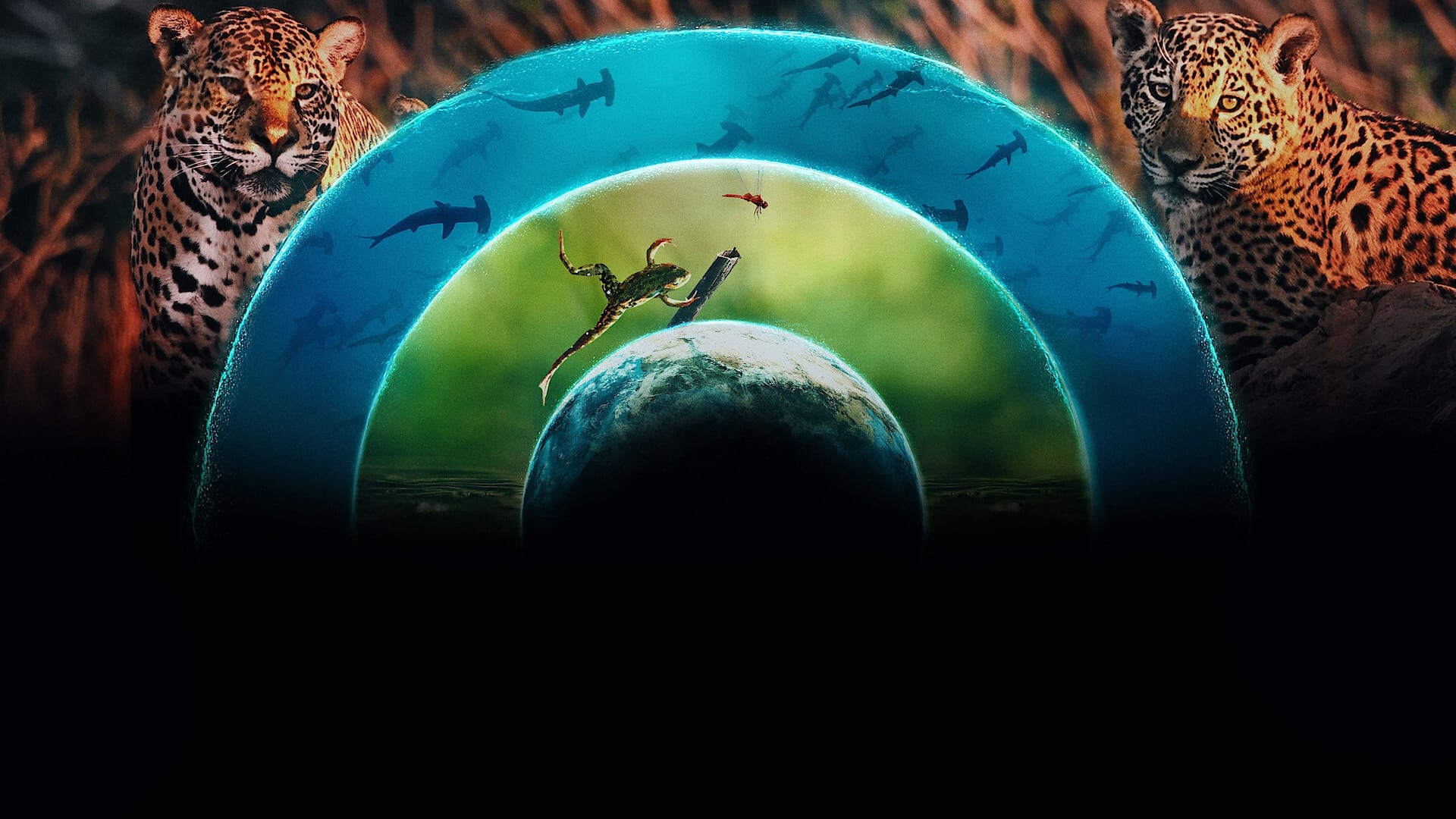 Our Living World 1. Sezon 4. Bölüm