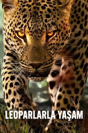 Living with Leopards