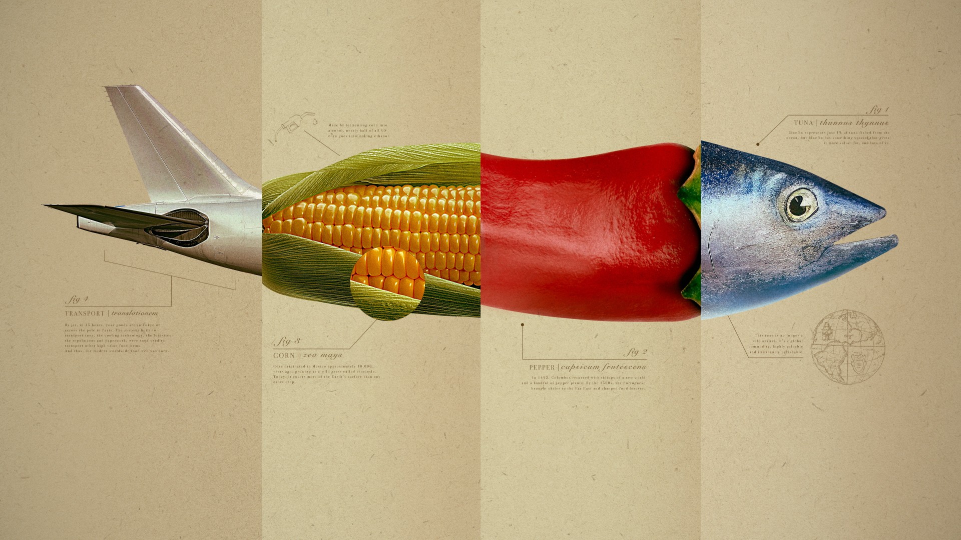 Omnivore 1. Sezon 8. Bölüm