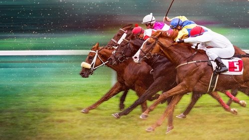 Race for the Crown 1. Sezon 6. Bölüm