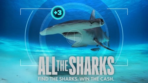 All the Sharks 1. Sezon 2. Bölüm