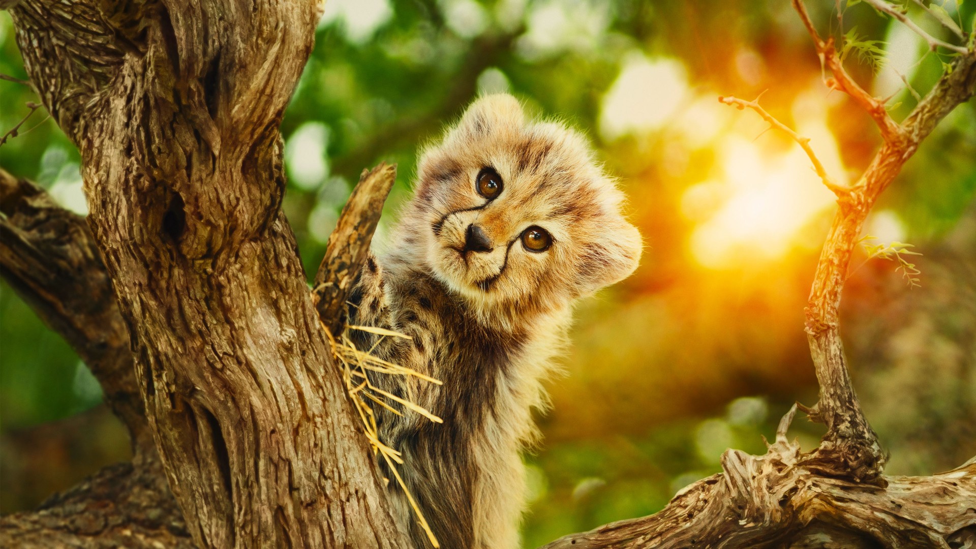 Born to Be Wild 1. Sezon 3. Bölüm